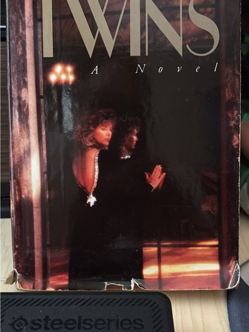Twins A Novel - Dark Cover with Woman in Backless Dress